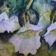 White Pulmonaria I