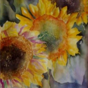 Sunflowers II