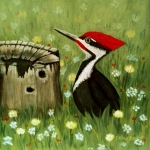 BastienCeline_pileatedwoodpecker