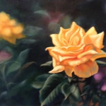 Two Yellow Roses