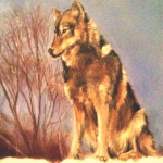 Wolfe