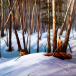 Trees and Trunk