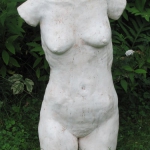 Female Torso