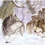 Resting