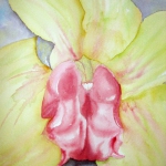 Orchid