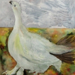 Ptarmigan