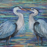 GLICKMAN The-Conversation-Great-Blue-Herons
