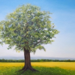 Shade-in-Summer