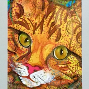 cat1