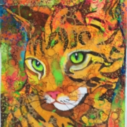 cat2