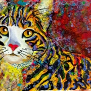 cat4