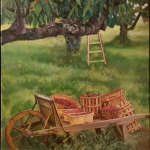 Delicious Harvest  oil
