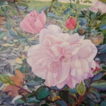 Pink Beauty Oil