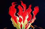 McDermott, Patricia