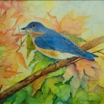 Eastern Bluebird Mixed Media