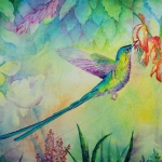 Long-tailed sylph Mixed Media