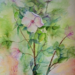 Pink blossoms Mixed Media