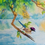 Purple crowned Fairywren Mixed Media