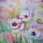 white poppies Mixed Media