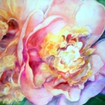 Ethereal Rose